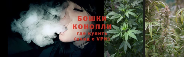 сатива Алексин