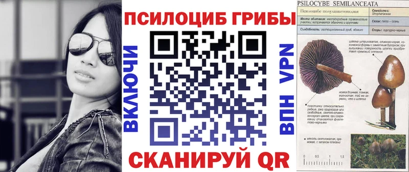 Псилоцибиновые грибы мицелий Чебаркуль