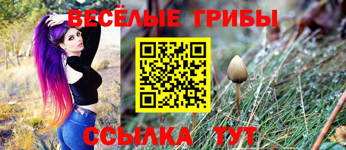 Чебаркуль  Галлюциногенные грибы мухоморы  Вход с VPN 