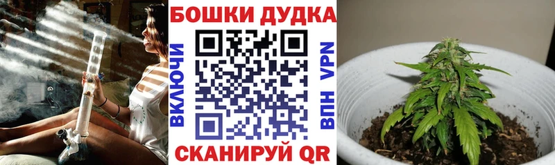 Бошки Шишки Amnesia  Чебаркуль 